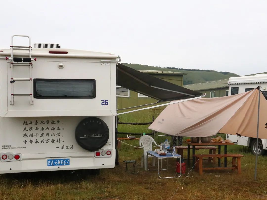 來福，以精致矗立在野性之中