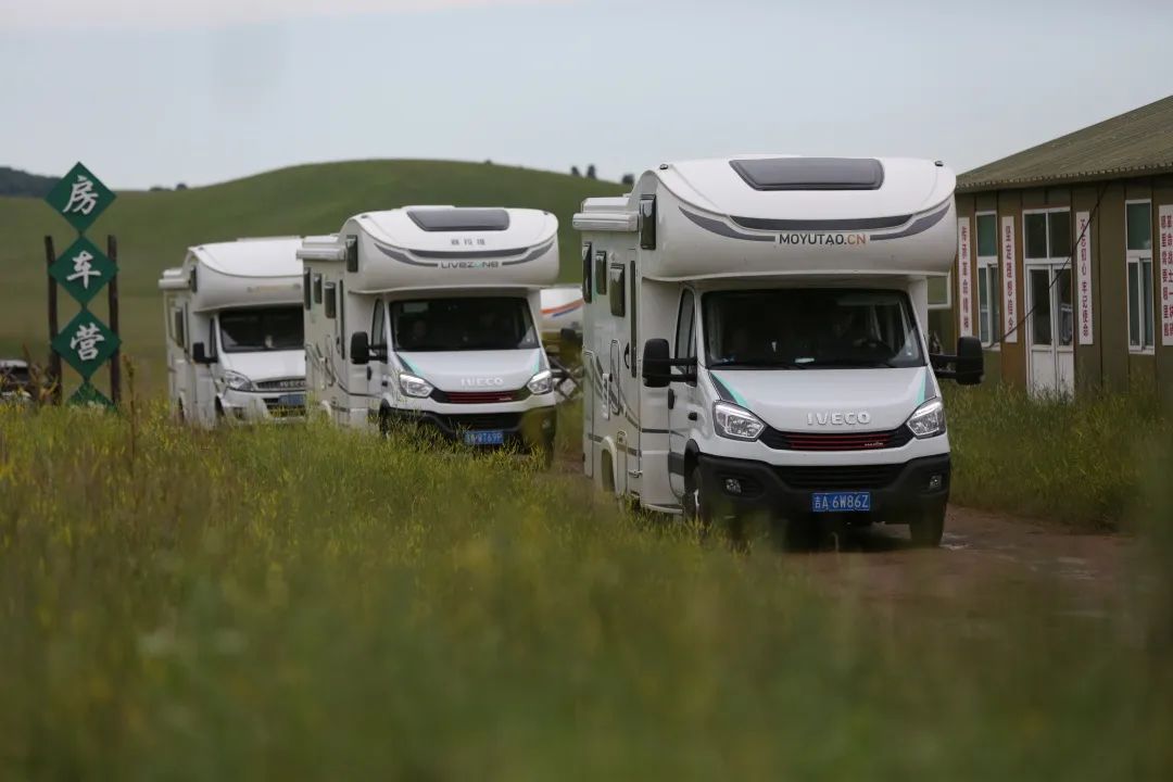 來福，以精致矗立在野性之中